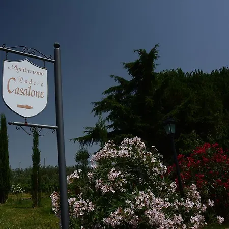 Podere Casalone Limite