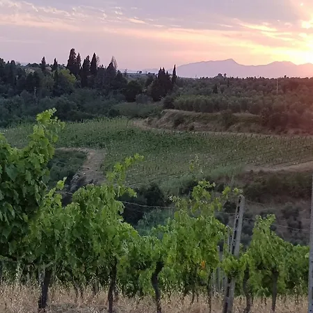 Podere Casalone * Limite